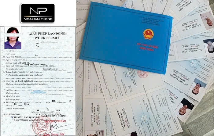 dich vu tu van giay phep lao dong cho nguoi nuoc ngoai