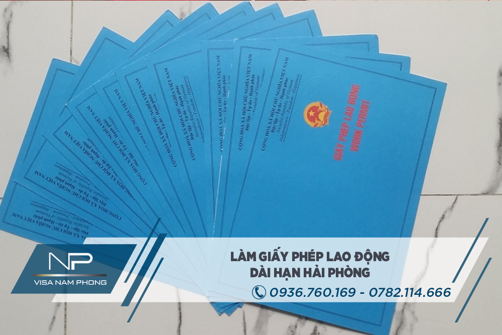 Giấy phép lao động Hải Phòng cho người nước ngoài làm việc tại trường học