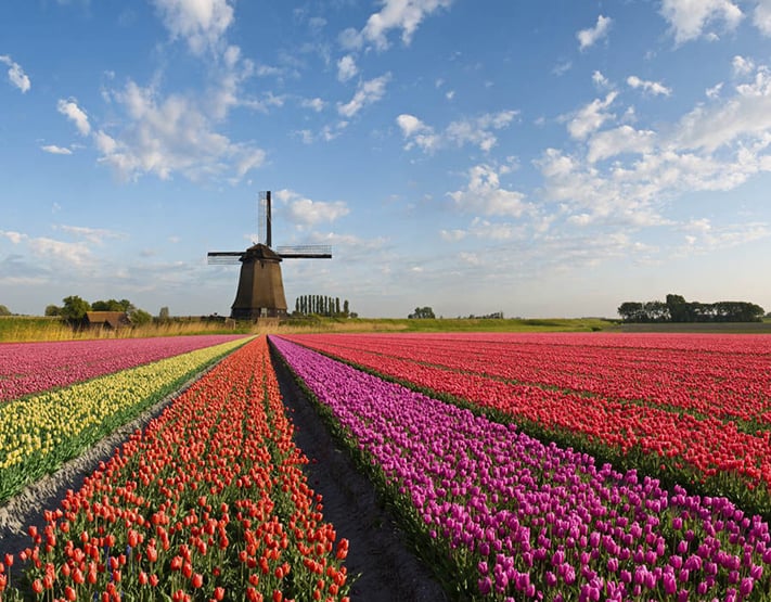 kinh nghiệm du lịch hà lan netherlands spring 711