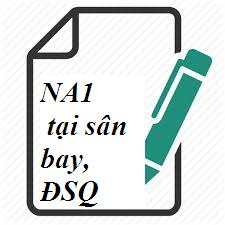 Visa Nam Phong hướng dẫn điền mẫu tờ khai visa NA1 sân bay, Đại sứ quán